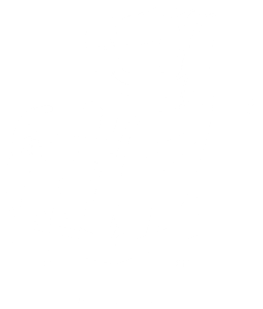 Massage Lounger Spec